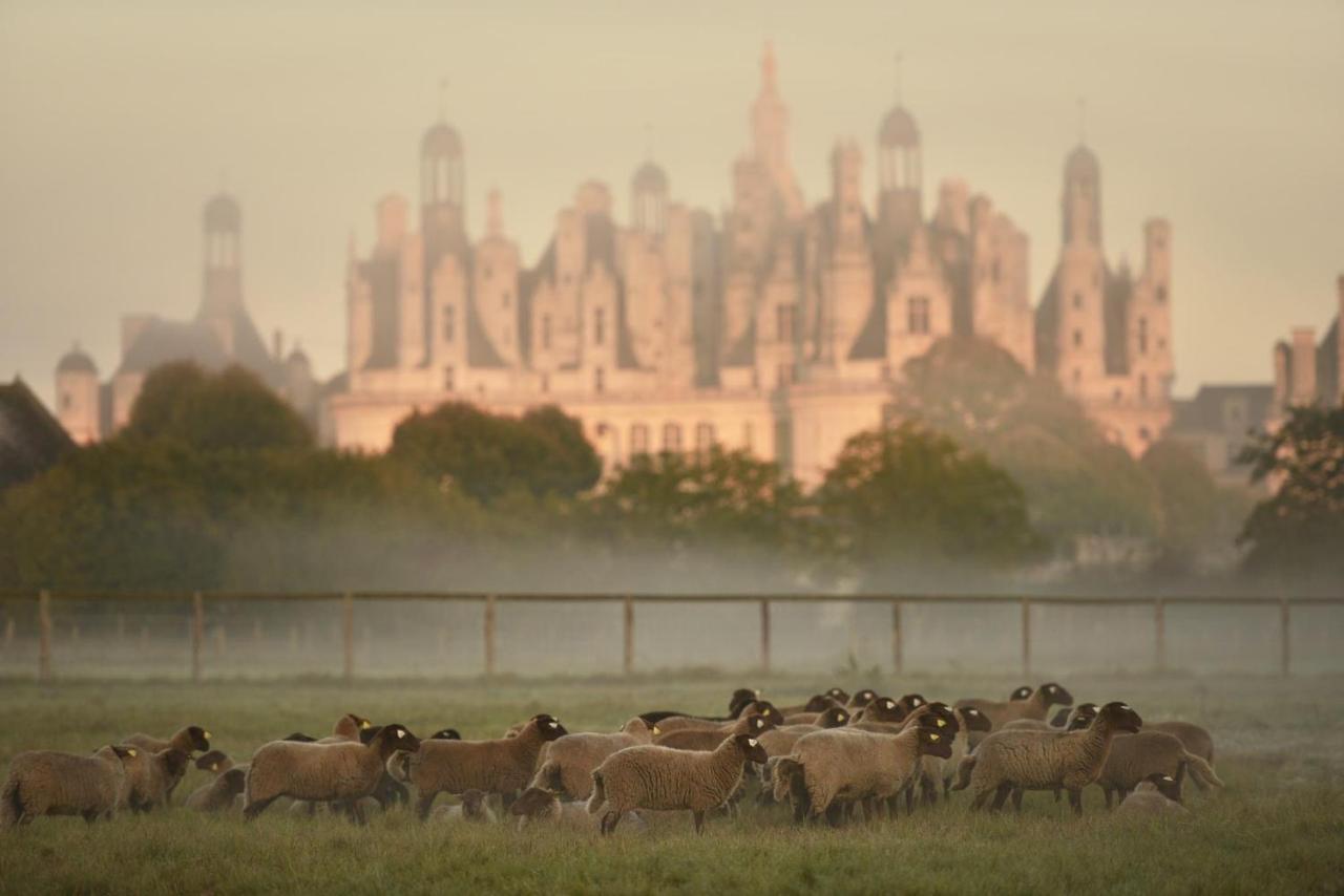 Maison Moz Fontaines-en-Sologne Eksteriør bilde