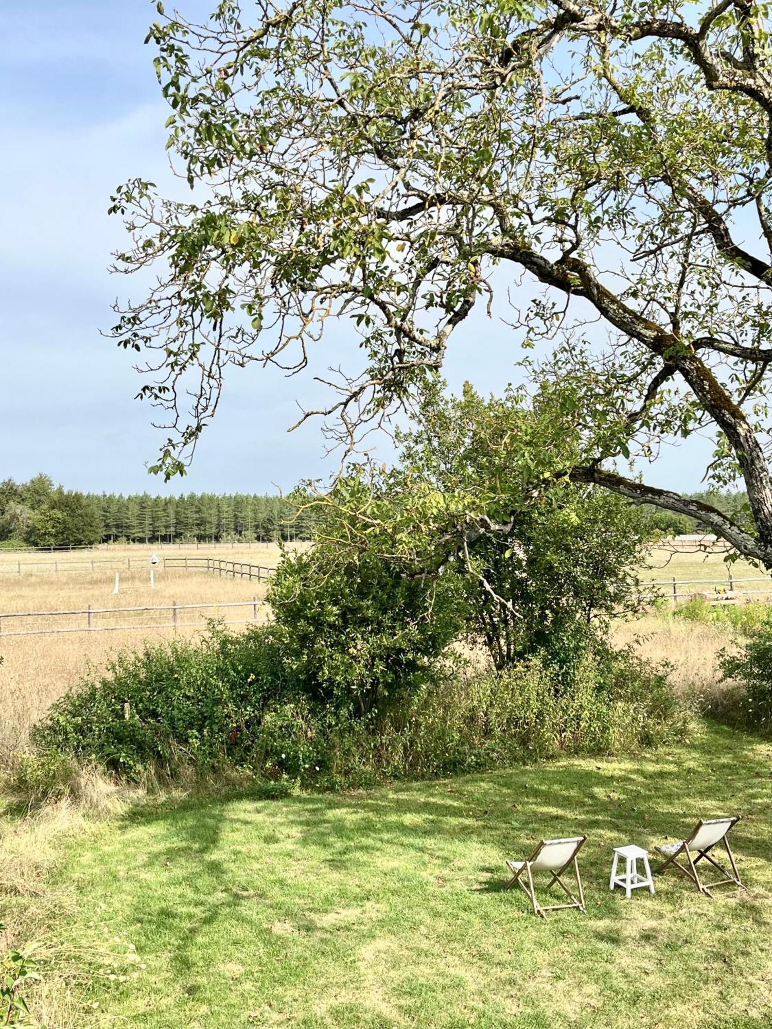 Maison Moz Fontaines-en-Sologne Eksteriør bilde
