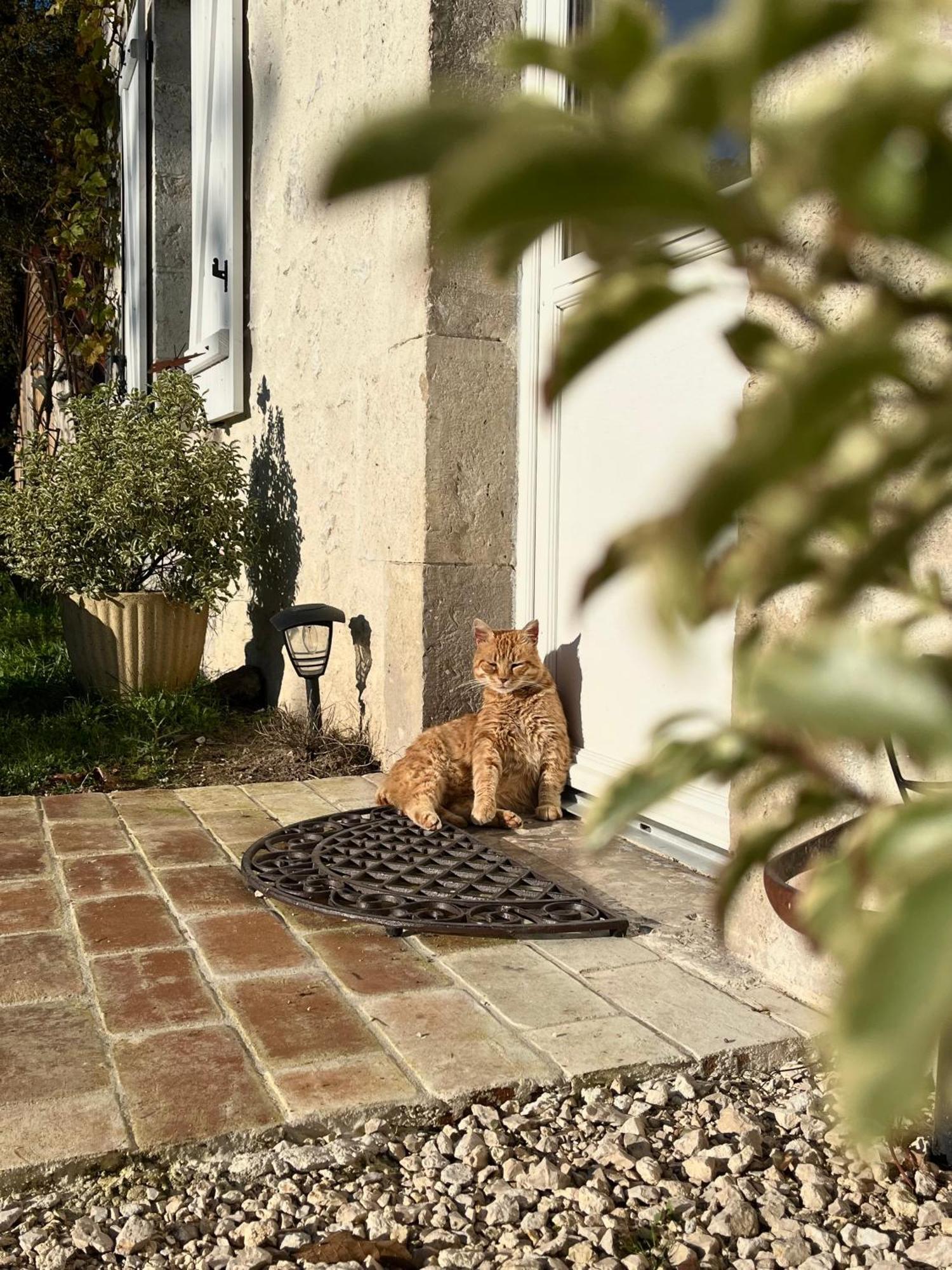 Maison Moz Fontaines-en-Sologne Eksteriør bilde